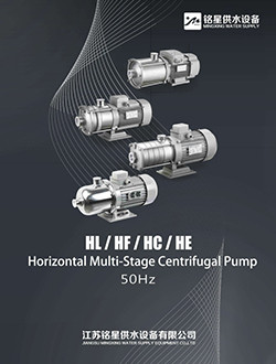 MX-Horizontale Pumpe